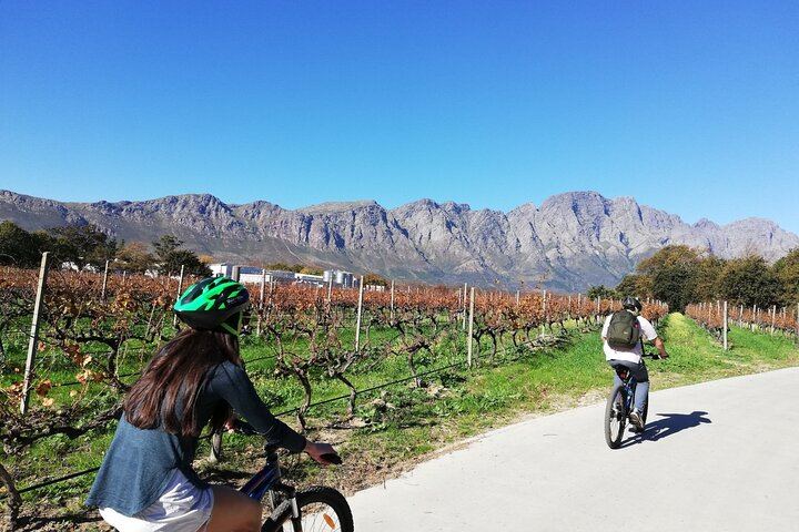 Private Full-Day Sip & Cycle Through Franschhoek Vineyards from Grande Provence (10/12)