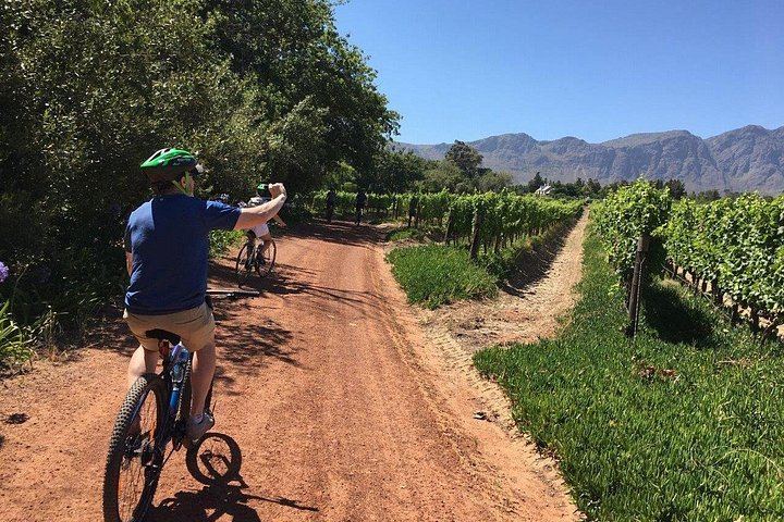 Private Half-Day Sip & Cycle in Franschhoek, Wine Pairing (1/12)