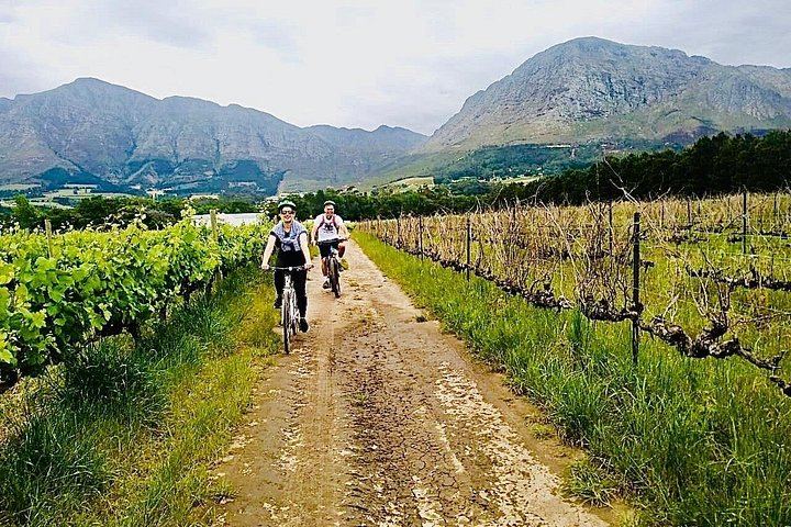Private Half-Day Sip & Cycle in Franschhoek, Wine Pairing (11/12)