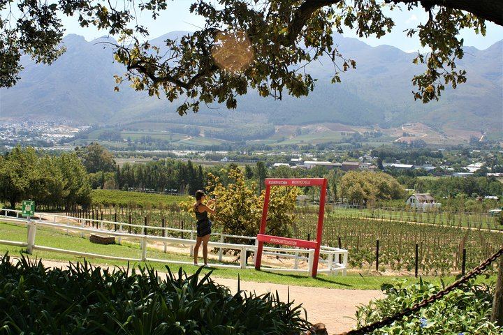 Private Half-Day Sip & Cycle in Franschhoek, Wine Pairing (7/12)