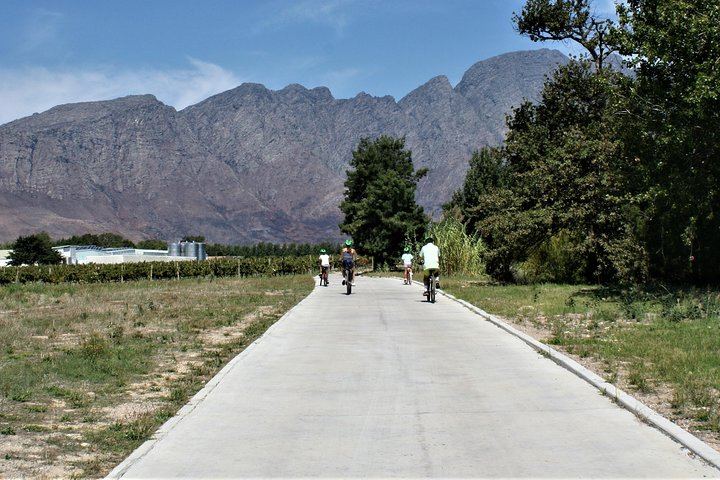 Private Half-Day Sip & Cycle in Franschhoek, Wine Pairing (4/12)