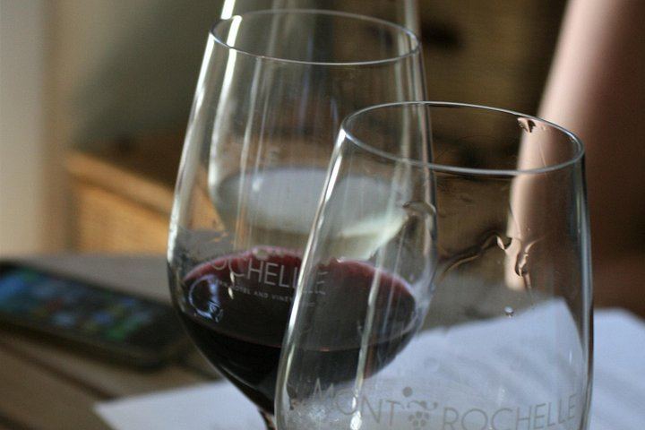Private Half-Day Sip & Cycle in Franschhoek, Wine Pairing (10/12)