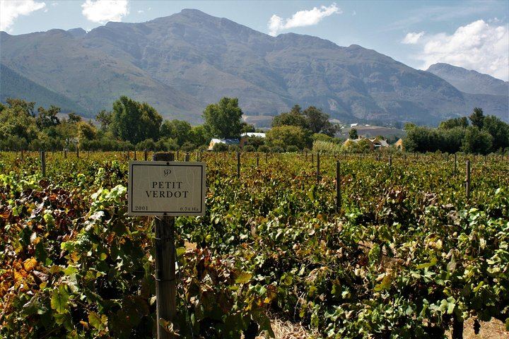 Private Half-Day Sip & Cycle in Franschhoek, Wine Pairing (6/12)