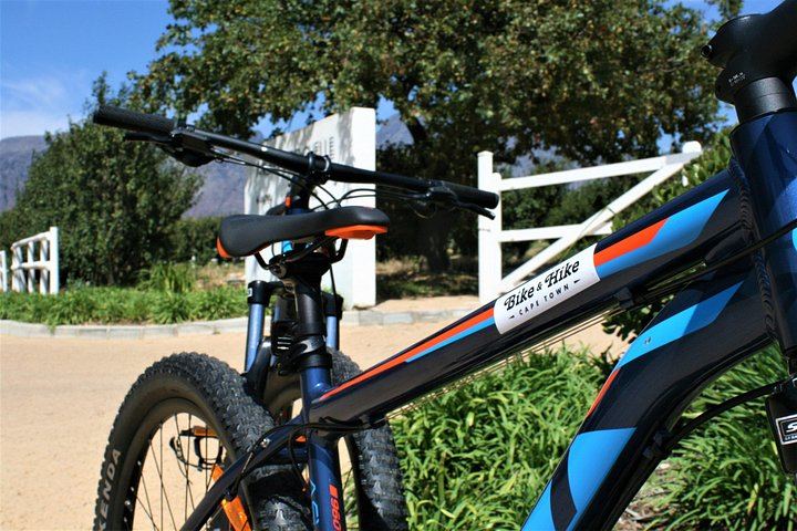 Private Half-Day Sip & Cycle in Franschhoek, Wine Pairing (5/12)