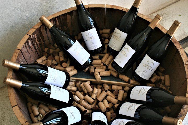 Private Half-Day Sip & Cycle in Franschhoek, Wine Pairing (9/12)