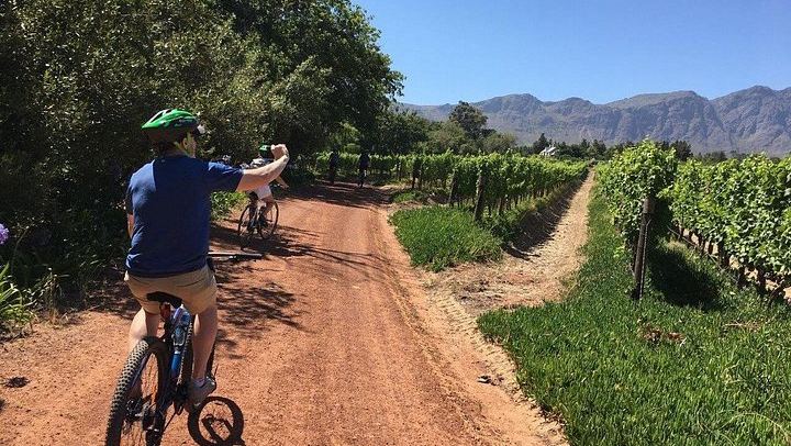 Private Half-Day Sip & Cycle in Franschhoek, Wine Pairing (1/12)
