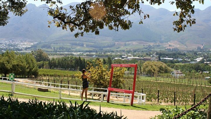 Private Full-Day Sip & Cycle Through Franschhoek Vineyards from Grande Provence (3/12)