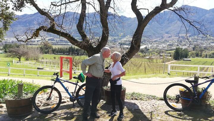 Private Full-Day Sip & Cycle Through Franschhoek Vineyards from Grande Provence (2/12)
