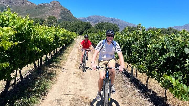 Private Full-Day Sip & Cycle Through Franschhoek Vineyards from Grande Provence (4/12)