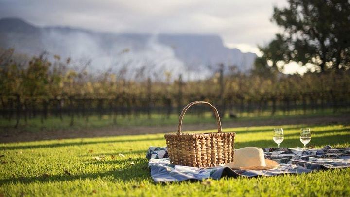 Private Full-Day Winelands Tour: Fairview, Plaisir de Merle, Franschhoek Lunch and Muratie (4/12)