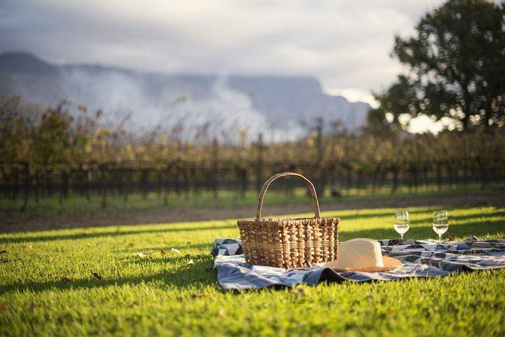 Private Full-Day Winelands Tour: Fairview, Plaisir de Merle, Franschhoek Lunch and Muratie (4/12)