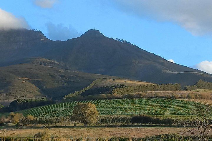 Franschhoek Wine Tram Ride and Boschendal Wine Estate Tasting with Huguenot History (5/6)