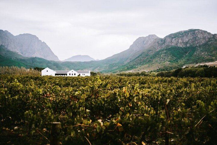 Franschhoek Wine Tram Hop-On Hop-Off Day Trip with Cape Town Hotel Transfers (3/6)
