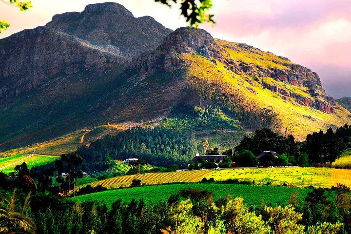 Franschhoek Wine Tram Hop-On Hop-Off Day Trip with Cape Town Hotel Transfers (5/6)