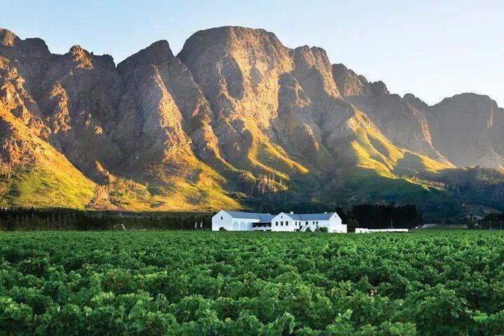 Franschhoek Wine Tram Hop-On Hop-Off Day Trip with Cape Town Hotel Transfers (2/6)