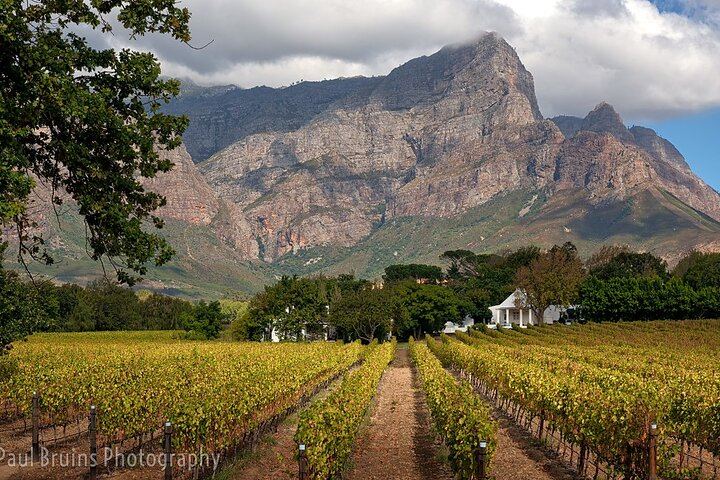 Franschhoek Wine Tram Hop-On Hop-Off Day Trip with Cape Town Hotel Transfers (4/6)