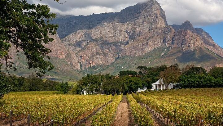 Franschhoek Wine Tram Hop-On Hop-Off Day Trip with Cape Town Hotel Transfers (4/6)