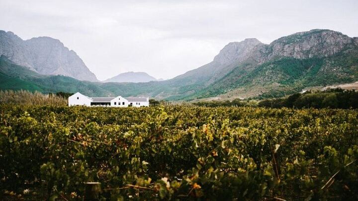Franschhoek Wine Tram Hop-On Hop-Off Day Trip with Cape Town Hotel Transfers (3/6)