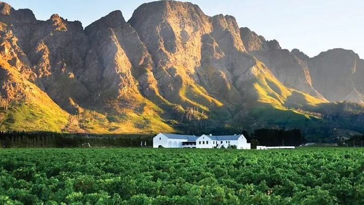 Franschhoek Wine Tram Hop-On Hop-Off Day Trip with Cape Town Hotel Transfers (2/6)