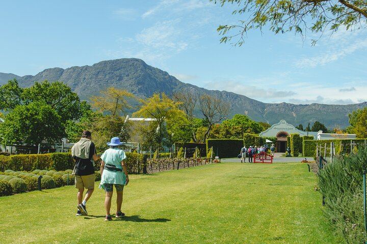 Franschhoek Guided Wine Walk Between Three Farms with Farm-Style Lunch, 6 Hours (9/12)