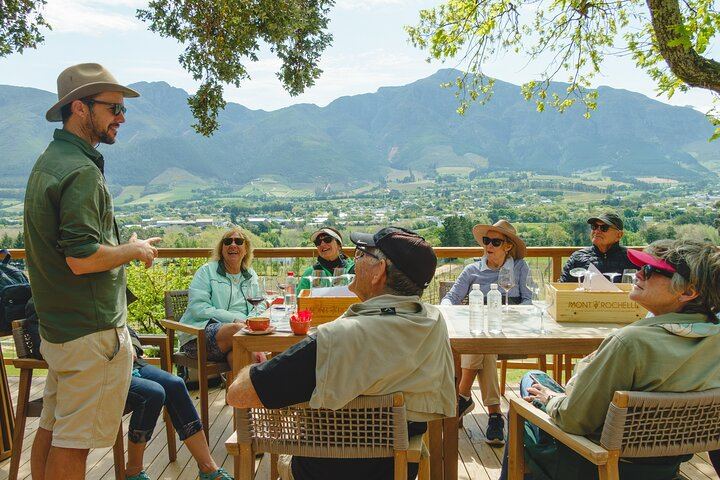 Franschhoek Guided Wine Walk Between Three Farms with Farm-Style Lunch, 6 Hours (2/12)