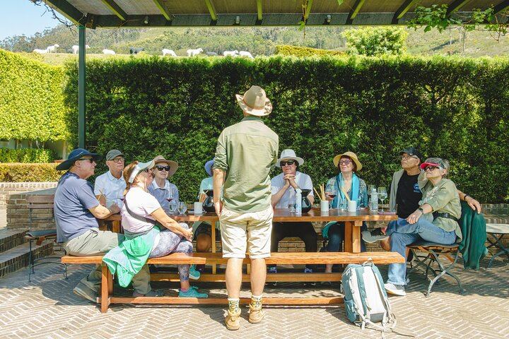 Franschhoek Guided Wine Walk Between Three Farms with Farm-Style Lunch, 6 Hours (4/12)