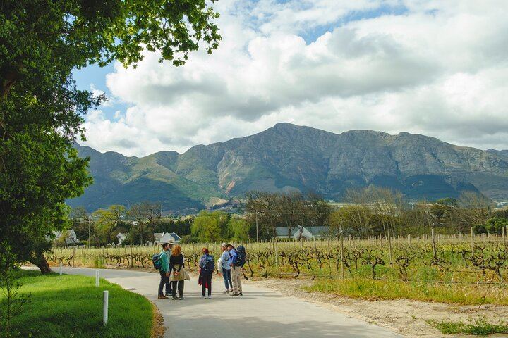 Franschhoek Guided Wine Walk Between Three Farms with Farm-Style Lunch, 6 Hours (8/12)
