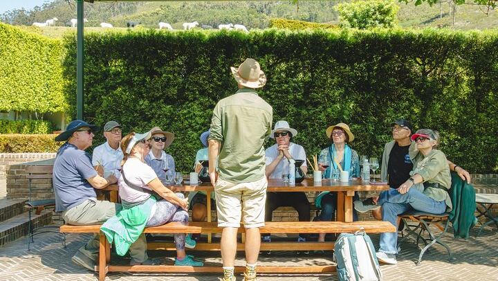 Franschhoek Guided Wine Walk Between Three Farms with Farm-Style Lunch, 6 Hours (4/12)