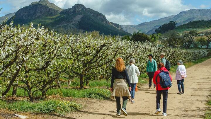 Franschhoek Guided Wine Walk Between Three Farms with Farm-Style Lunch, 6 Hours (3/12)