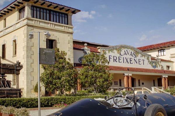 Freixenet Cava Winery Guided Tour in Penedès with Two Cava Tastings