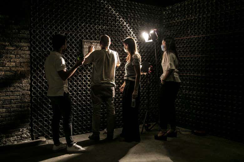 Freixenet Cava Winery Guided Tour in Penedès with Two Cava Tastings (10/10)