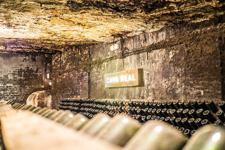 Freixenet Cava Winery Guided Tour in Penedès with Two Cava Tastings (1/10)