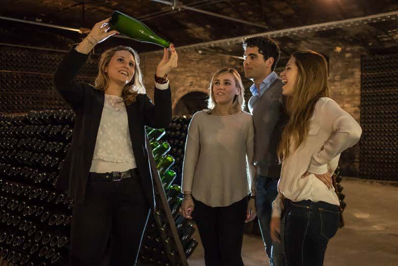 Freixenet Cava Winery Guided Tour in Penedès with Two Cava Tastings (4/10)
