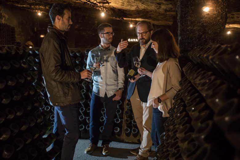 Freixenet Cava Winery Guided Tour in Penedès with Two Cava Tastings (5/10)