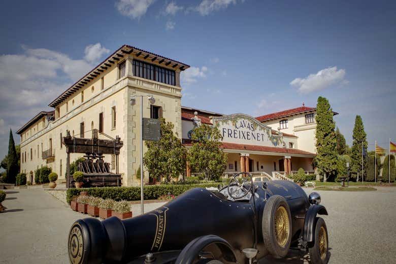 Freixenet Cava Winery Guided Tour in Penedès with Two Cava Tastings (6/10)