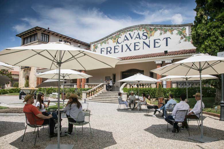 Freixenet Cava Winery Guided Tour in Penedès with Two Cava Tastings (7/10)