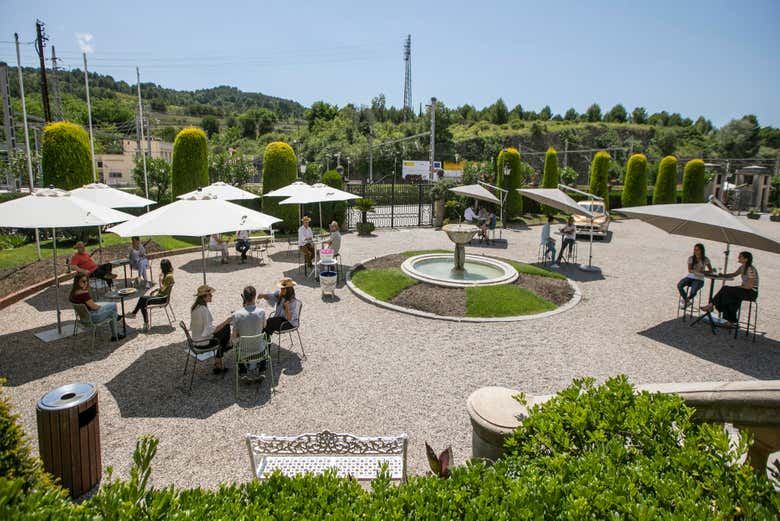 Freixenet Cava Winery Guided Tour in Penedès with Two Cava Tastings (8/10)