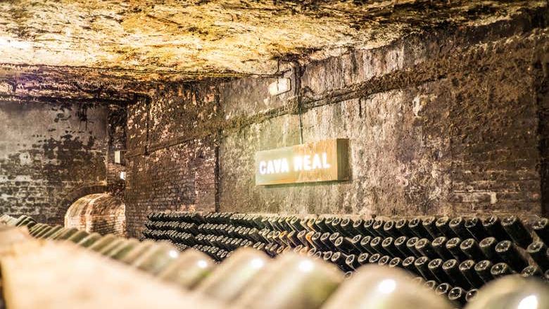 Freixenet Cava Winery Guided Tour in Penedès with Two Cava Tastings (1/10)