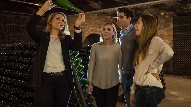 Freixenet Cava Winery Guided Tour in Penedès with Two Cava Tastings (4/10)