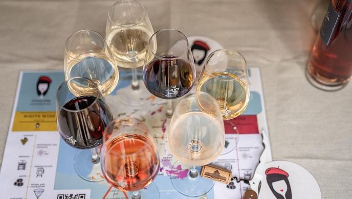 Nice Fine French Wine Tasting at VinoLove: Bordeaux, Burgundy, Champagne and More (2/7)