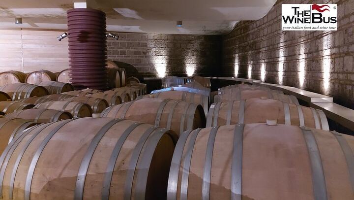 Private Full-Day Irpinia Wine Tour from Sorrento with a Sommelier and Two Wineries (1/12)