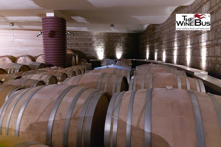 Private Full-Day Irpinia Wine Tour from Sorrento with a Sommelier and Two Wineries (1/12)