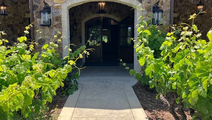 Private Napa or Sonoma Wine Tour in a New Luxury Van for Groups of Up to 8 (4/12)