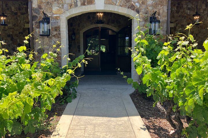 Private Napa or Sonoma Wine Tour in a New Luxury Van for Groups of Up to 8 (4/12)