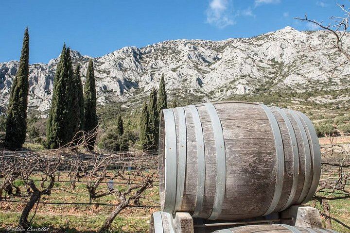 Aix-en-Provence Vintage Sidecar Ride on the Cézanne Road with Vineyard Tasting, 2 Hours (7/12)