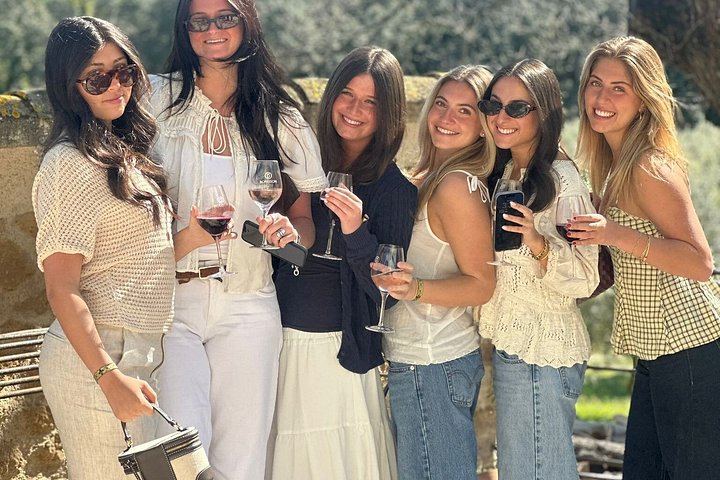 Aix-en-Provence Vintage Sidecar Ride on the Cézanne Road with Vineyard Tasting, 2 Hours (11/12)