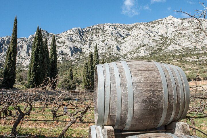 Half-Day Sidecar Wine Tour from Aix-en-Provence via Sainte-Victoire and Bimont Dam (5/10)