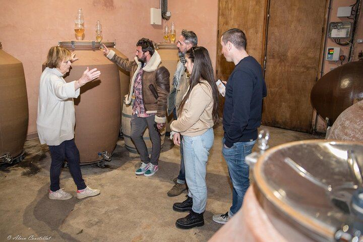 Half-Day Sidecar Wine Tour from Aix-en-Provence via Sainte-Victoire and Bimont Dam (10/10)