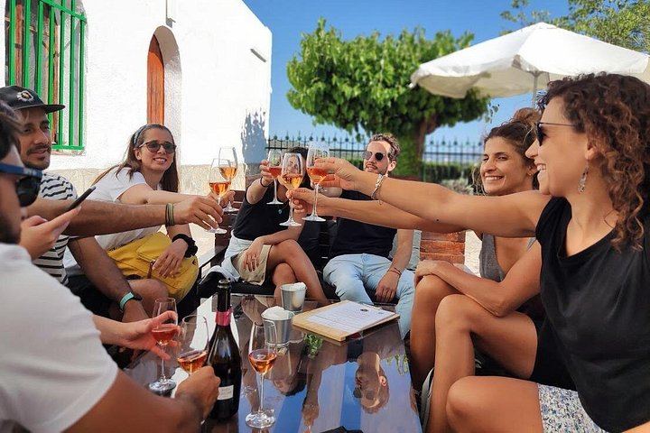 Penedès Vineyard E-Bike or Mountain Bike Small Group Day Trip with 2 Wineries (1/10)