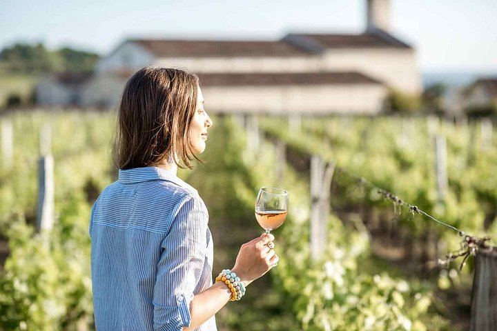 Penedès Vineyard E-Bike or Mountain Bike Small Group Day Trip with 2 Wineries (7/10)